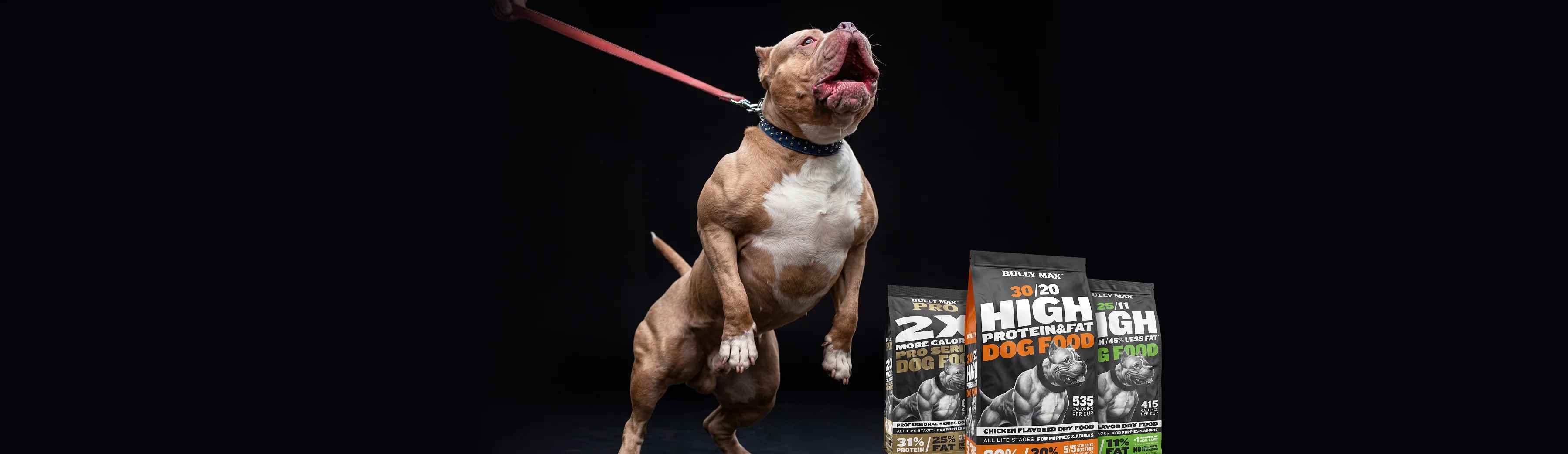 Fuel Your Dog's Peak Performance
