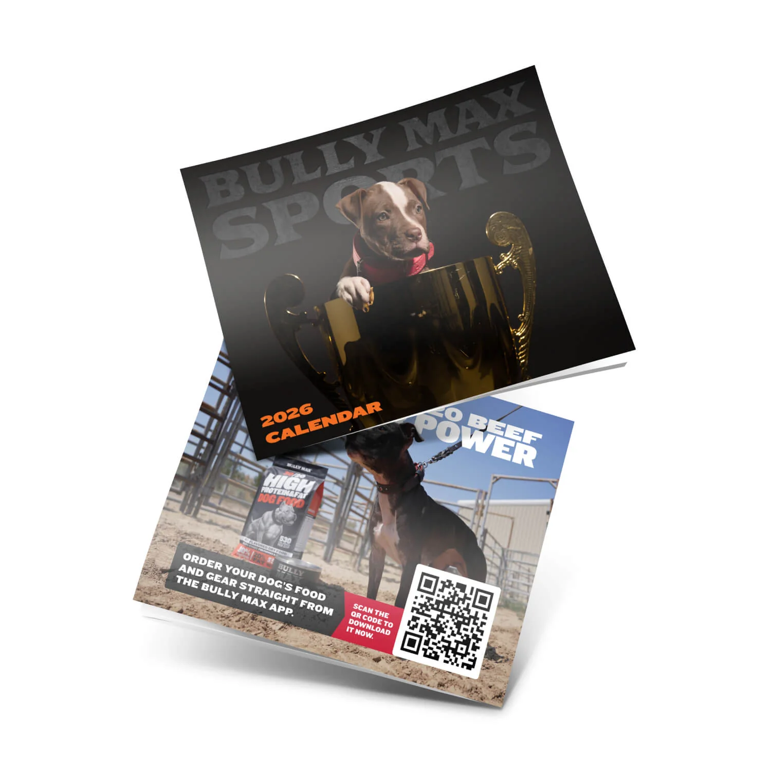 Dog Gear & Lifestyle Accessories